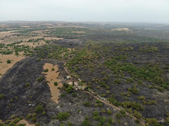 Due Incendi Sulla Murgia Fiamme Anche Nella Zona Di Castel Del Monte