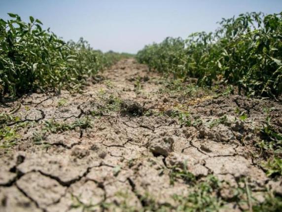 Giornata Mondiale Contro La Desertificazione L Allarme Di Coldiretti