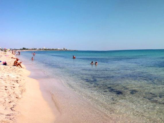 San Pietro In Bevagna Blatte E Cibo Scaduto In Un Bar Sul Mare La