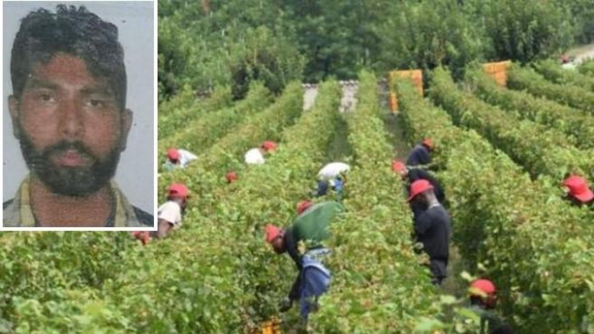 L Autopsia Sul Corpo Di Satnam Singh Il Bracciante Agricolo Di Latina