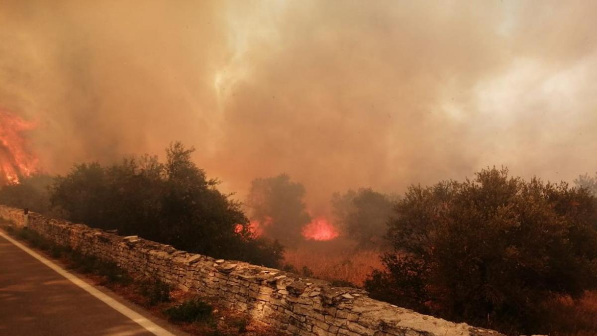 Incendi In Puglia Domate Le Fiamme A Castel Del Monte Brucia Il Bosco