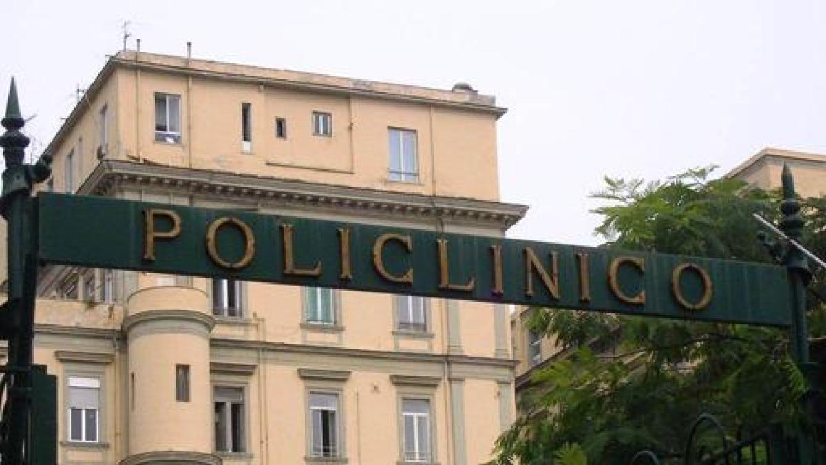 Malattie Reumatiche Al Policlinico Vanvitelli Visite Gratuite Per Le