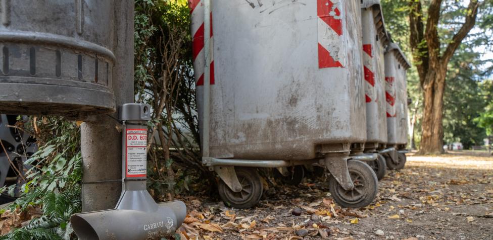 Trento, colonia di topi nei giardini di piazza Venezia, è caccia ai  roditori: «Non lasciate i rifiuti per terra»