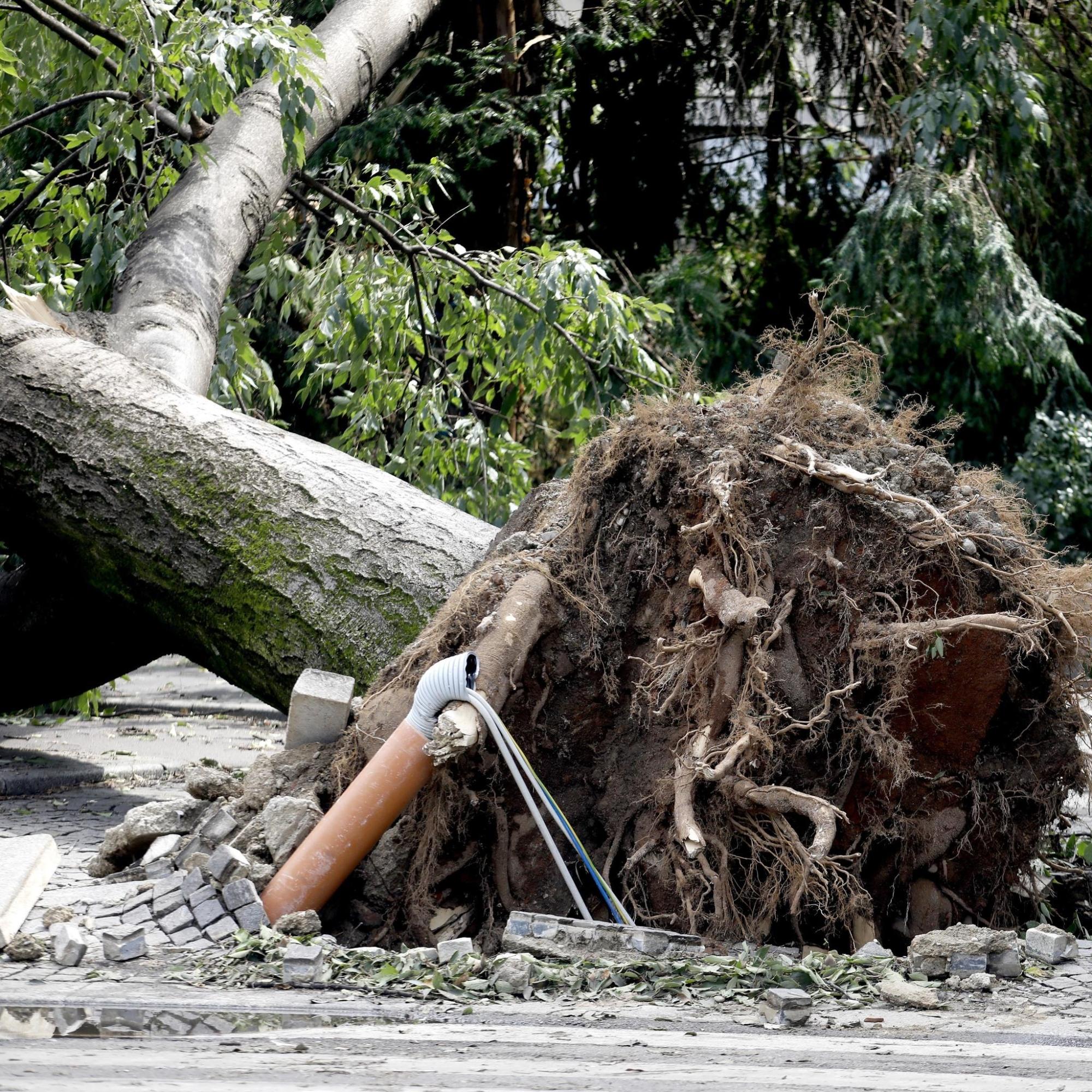 Danni e morti in Lombardia, feriti in Veneto, Friuli colpito dalla  grandine, Palermo e Sicilia bruciano. Acque del Mediterraneo mai così  calde: 28.7°