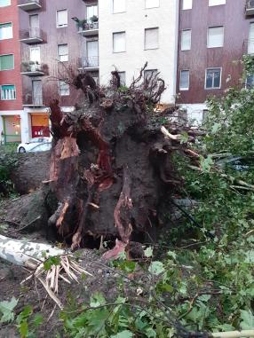 Le Foto Dei Danni Del Maltempo A Milano E In Lombardia Alberi Sradicati Auto Distrutte Strade