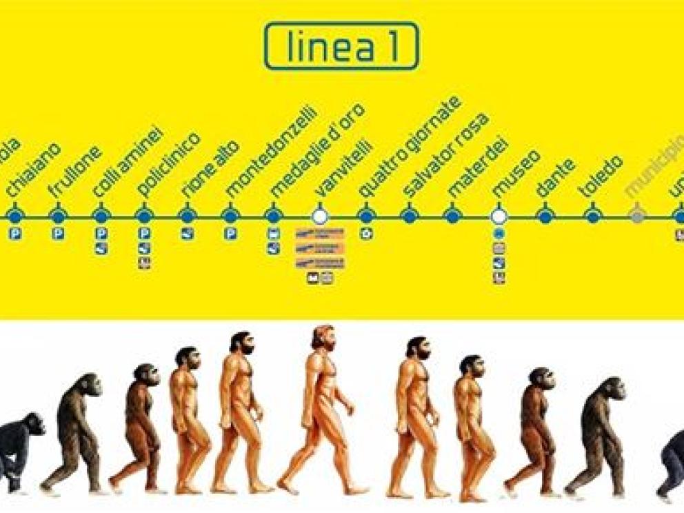 Vomeresi e altri infami - Dopo anni di complicati studi, i nostri