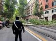 Cade un albero su viale Regina Margherita strada chiusa e bus deviati