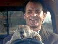 Il 2 febbraio è il Giorno della Marmotta (sì, il film con Bill Murray parla anche di questo)