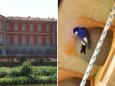 Firenze, nidi artificiali per i balestrucci su Palazzo Serristori: il restauro all'avanguardia (primo in Europa)