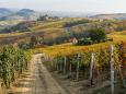 Beautiful autumnal landscape with the Castello della Volta, in the langhe region of Piedmont, Italy