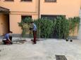 Varese, litiga con la vicina per il giardino e uccide le sue piante con un diserbante: 85enne condannato per atti persecutori