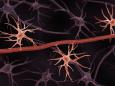 La malattia di Alzheimer senza sintomi: il mistero degli individui resilienti alla patologia neurodegenerativa