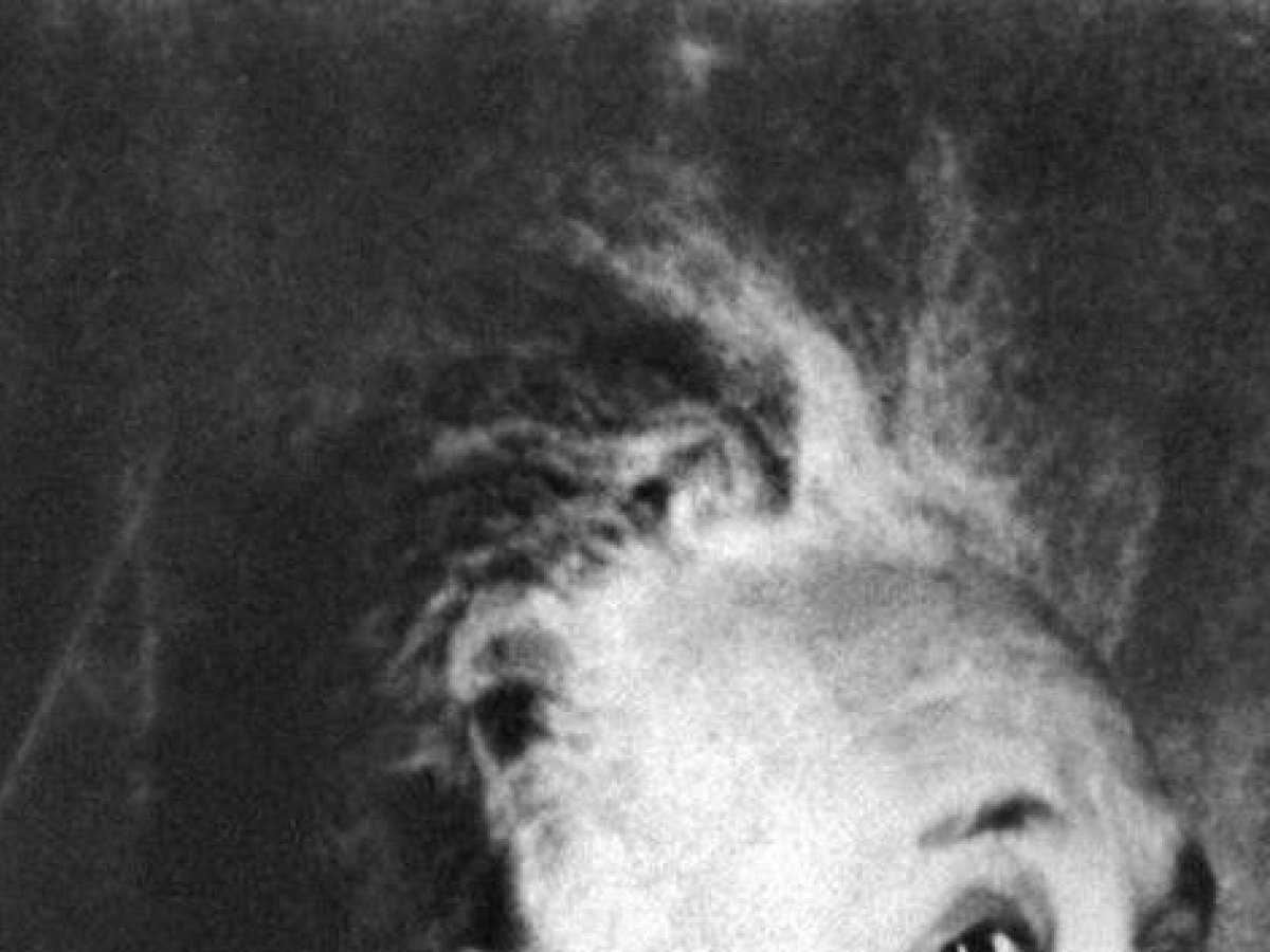 Il cervello di Einstein e la stupidità umana senza limiti