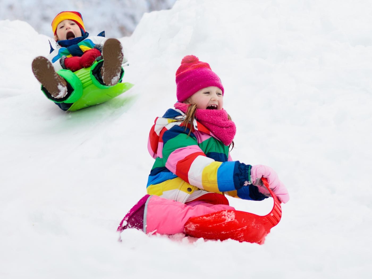 Protezione Contro La Neve Per Il Tetto  Business - Foto 9