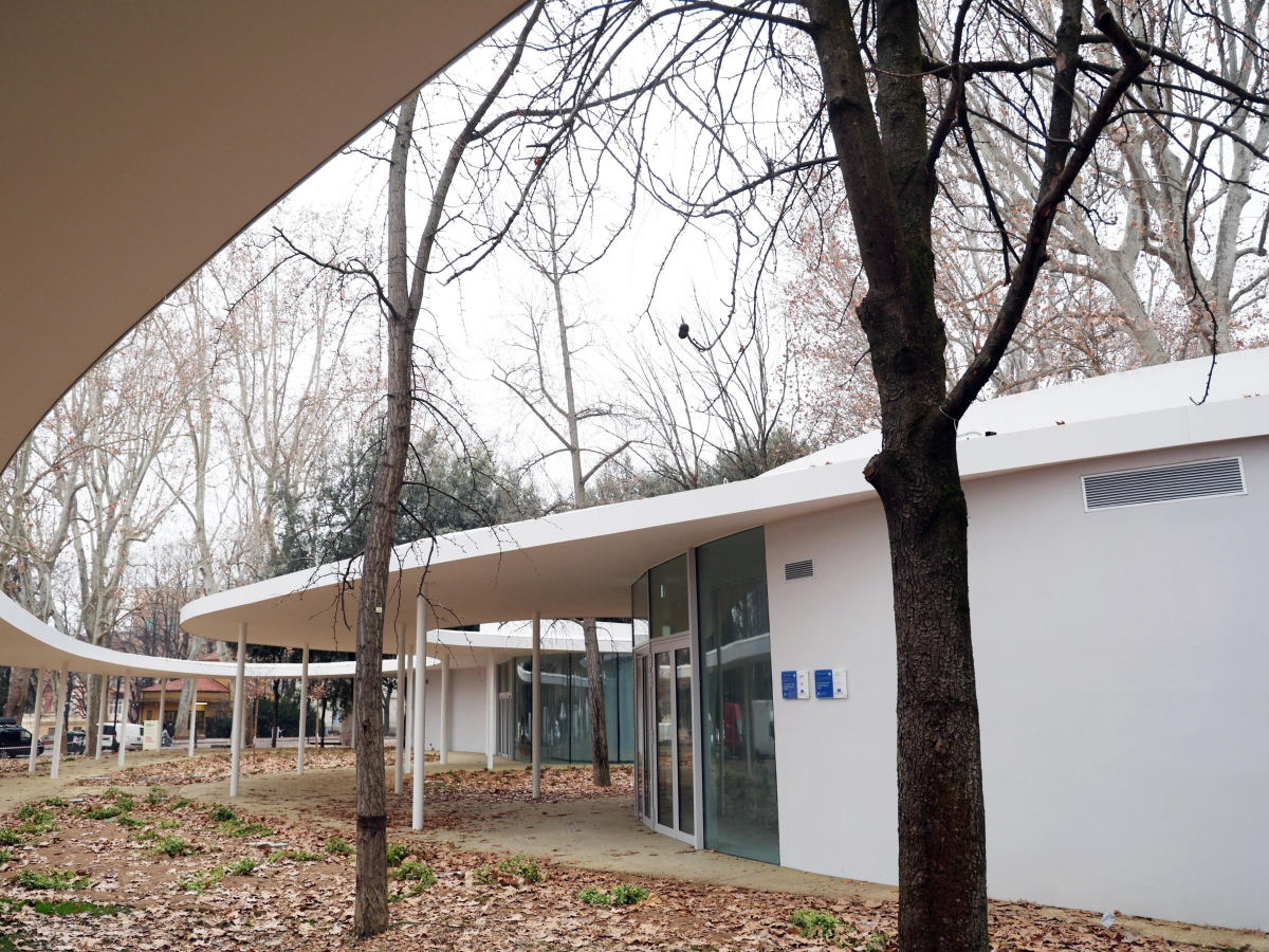 Bologna, la gara europea per il nuovo parco della Montagnola: «Meno cemento e più verde, in arrivo 3.000 nuovi alberi»
