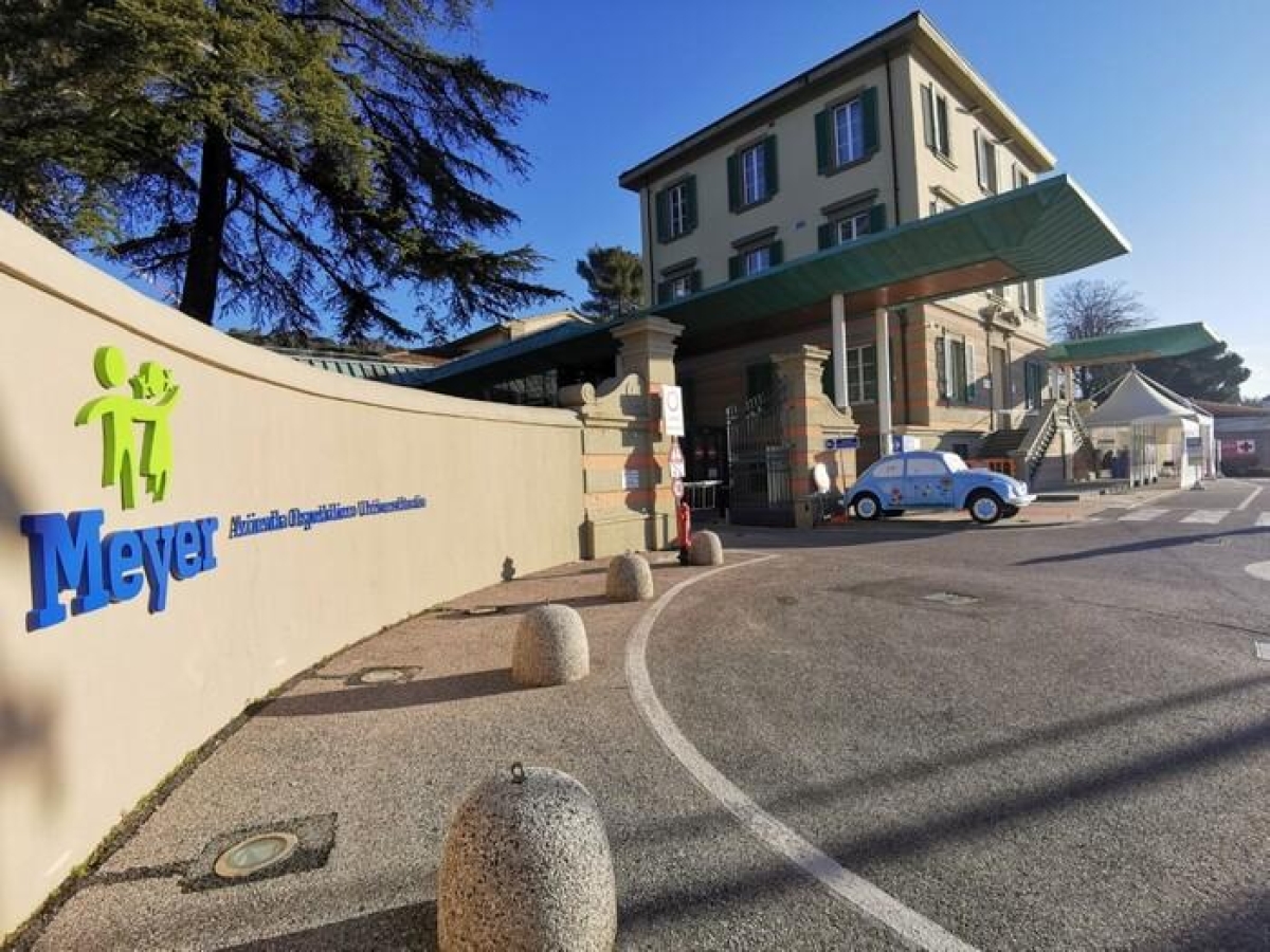 Torre del Lago, bimbo di un anno ingerisce una pila: grave al Meyer