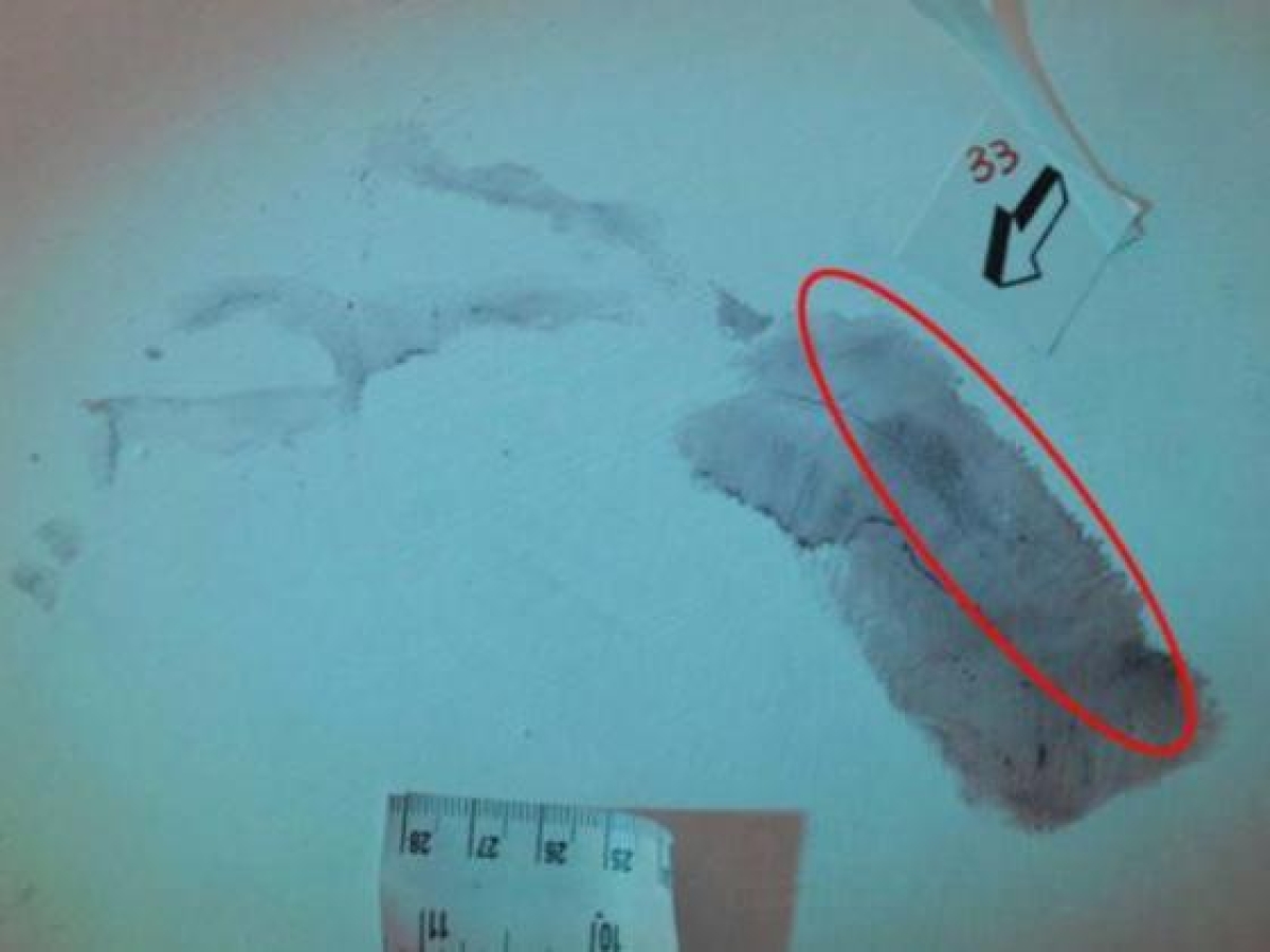 L'impronta che collocherebbe Andrea Sempio sulla scena del delitto di Garlasco: è la numero 33, rilevata dove il killer ha gettato il corpo di Chiara