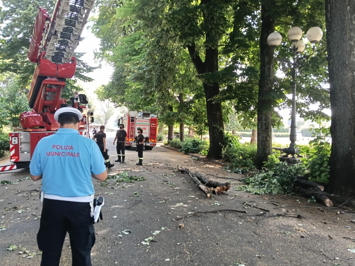 Firenze, colpita da un ramo al parco delle Cascine, ragazza di 23 anni in codice rosso