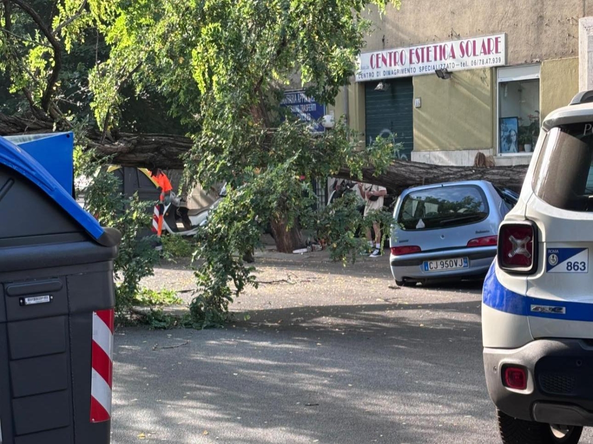 Roma, grande albero crolla in strada sull'Appia: distrutta una macchina