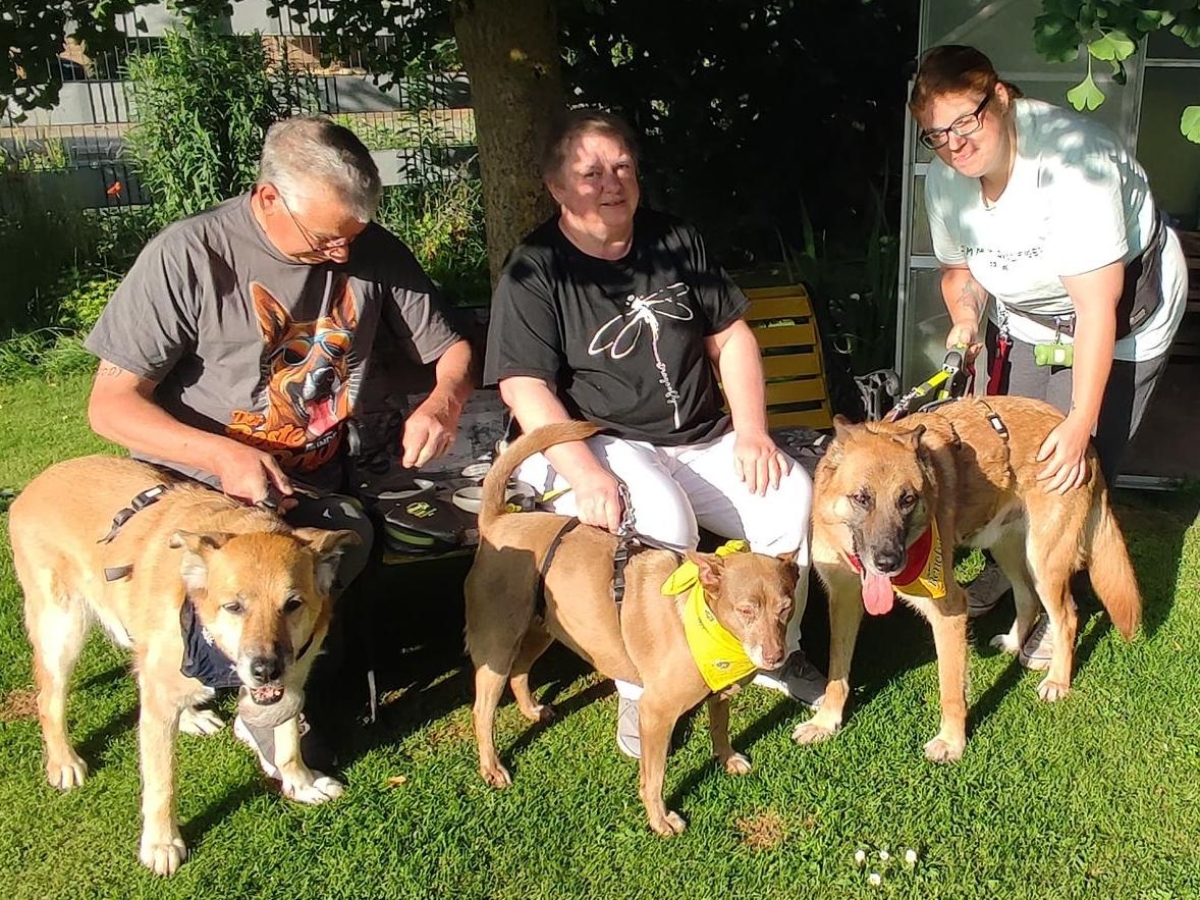 Il cane Fluke, da un canile di Roma alla nuova famiglia in Baviera: la leishmaniosi non lo ha fermato - Le storie