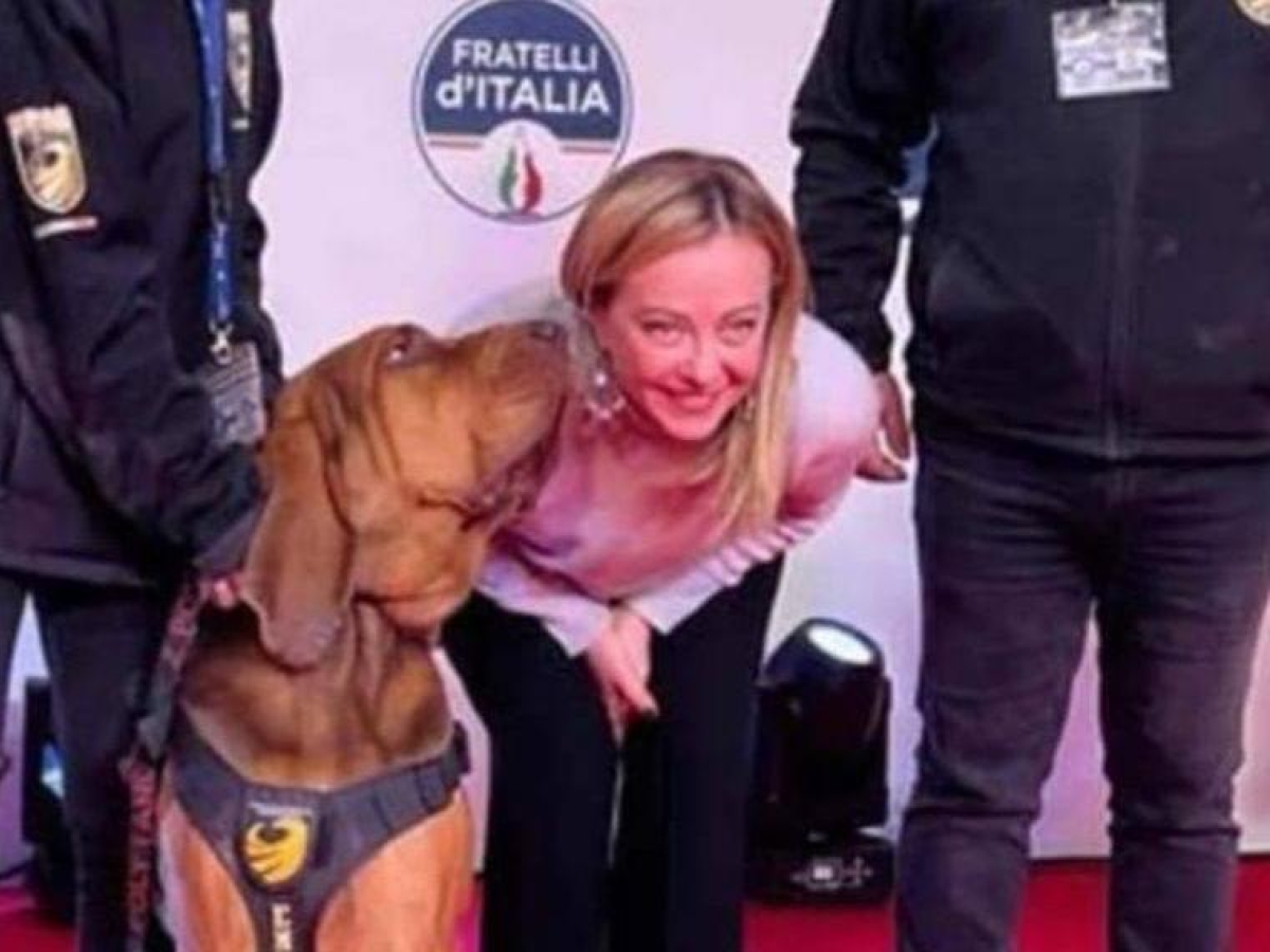 Cane Bruno ucciso, Meloni: «Atto vile e codardo». Brambilla: ora condanna esemplare, le norme ci sono