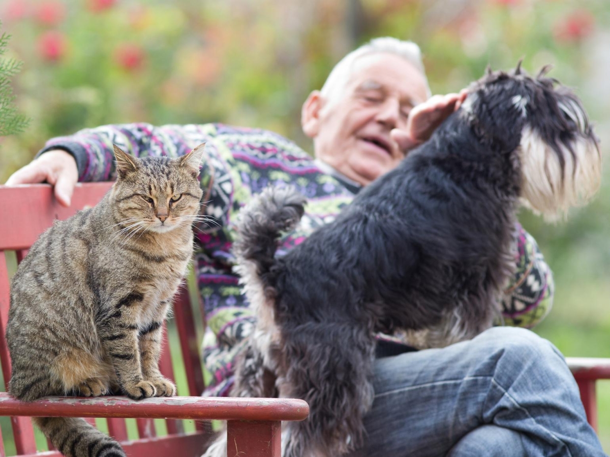 La compagnia di cani e gatti ferma il declino cognitivo negli over 50. Lo studio