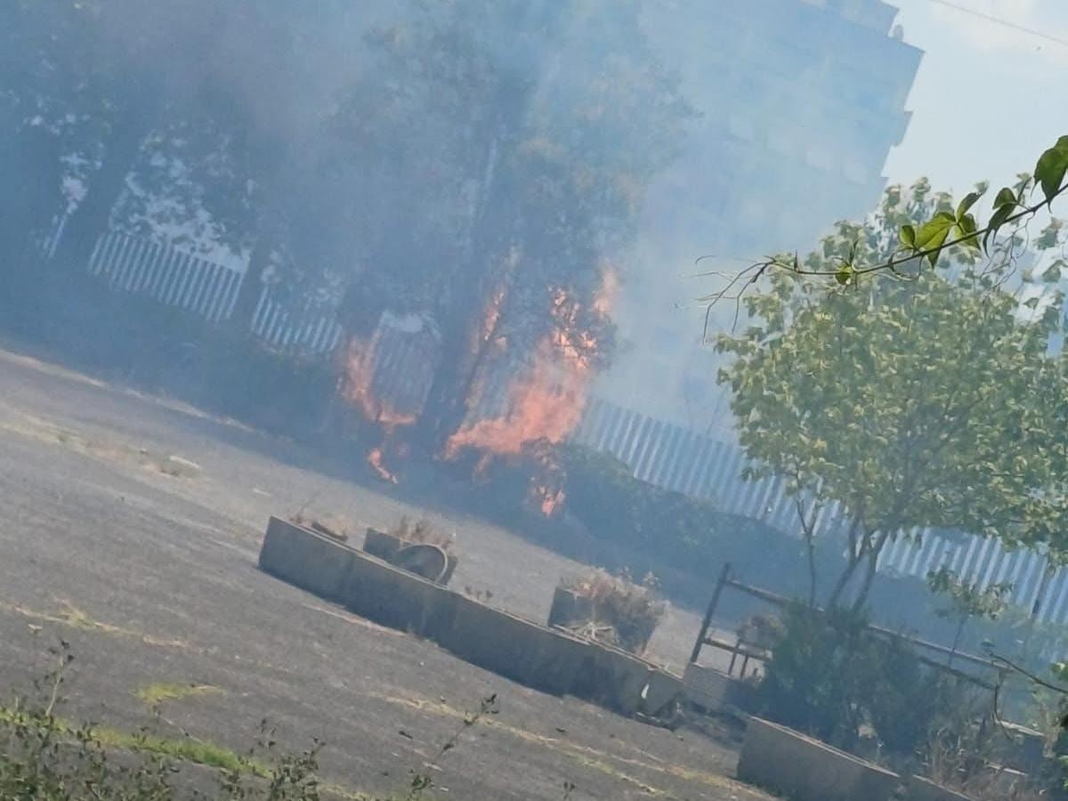 Serpentara, le fiamme lambiscono i balconi delle case. E brucia l'area intorno a Parco Leonardo