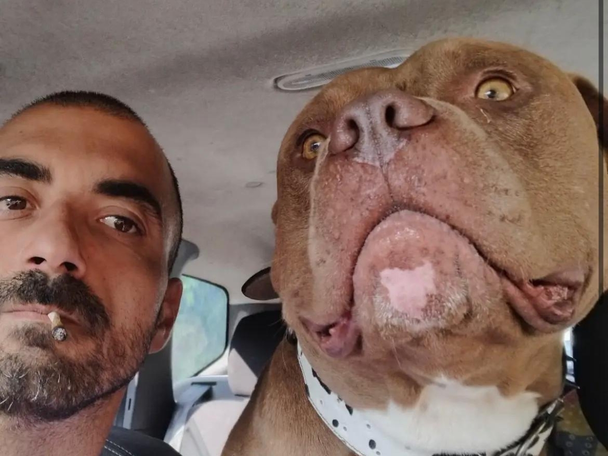 Omicidio a Rocca di Papa, il gip convalida l'arresto di Guglielmo Palozzi ma senza la premeditazione