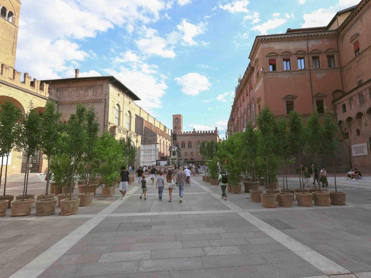 Bologna, le polemiche sugli alberi nelle piazze arrivano da destra a sinistra: «Cento alberelli da 1.200 euro l'uno, spesa spropositata per il greenwashing di Lepore»