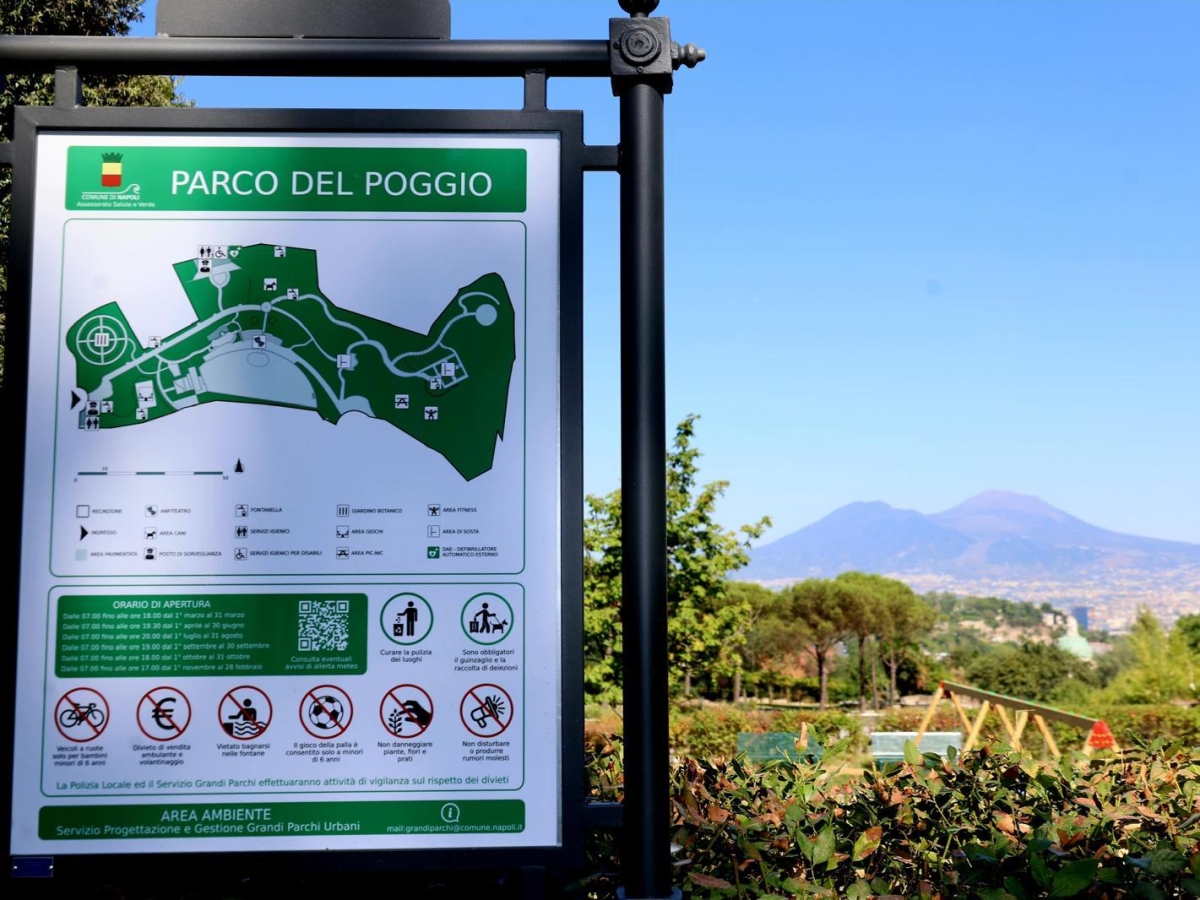 Napoli, cinema sotto le stelle: serate da Oscar al Parco del Poggio