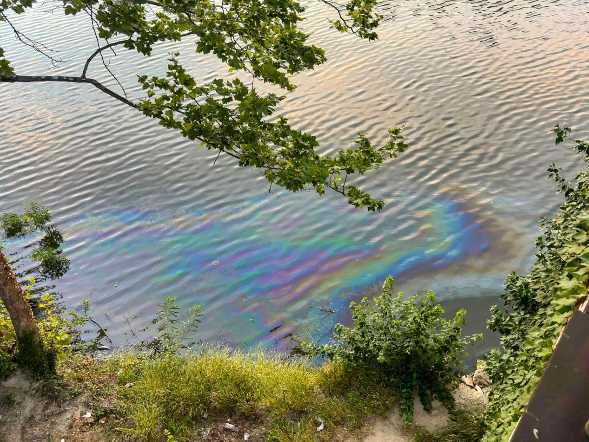 Firenze, chiazza di idrocarburi in Arno: diga gonfiabile per contenere la sostanza