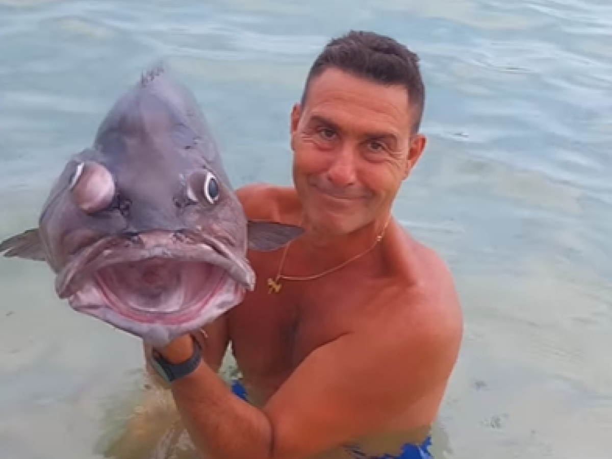 Vannacci tra il pesce dalla faccia «sinistra» e l'asino sardo