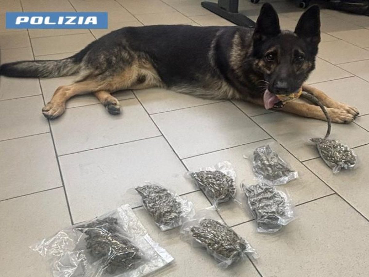 Via Tolmezzo a Milano, 33enne nasconde la droga nella cameretta dei bambini: arrestato dalla polizia con la compagna