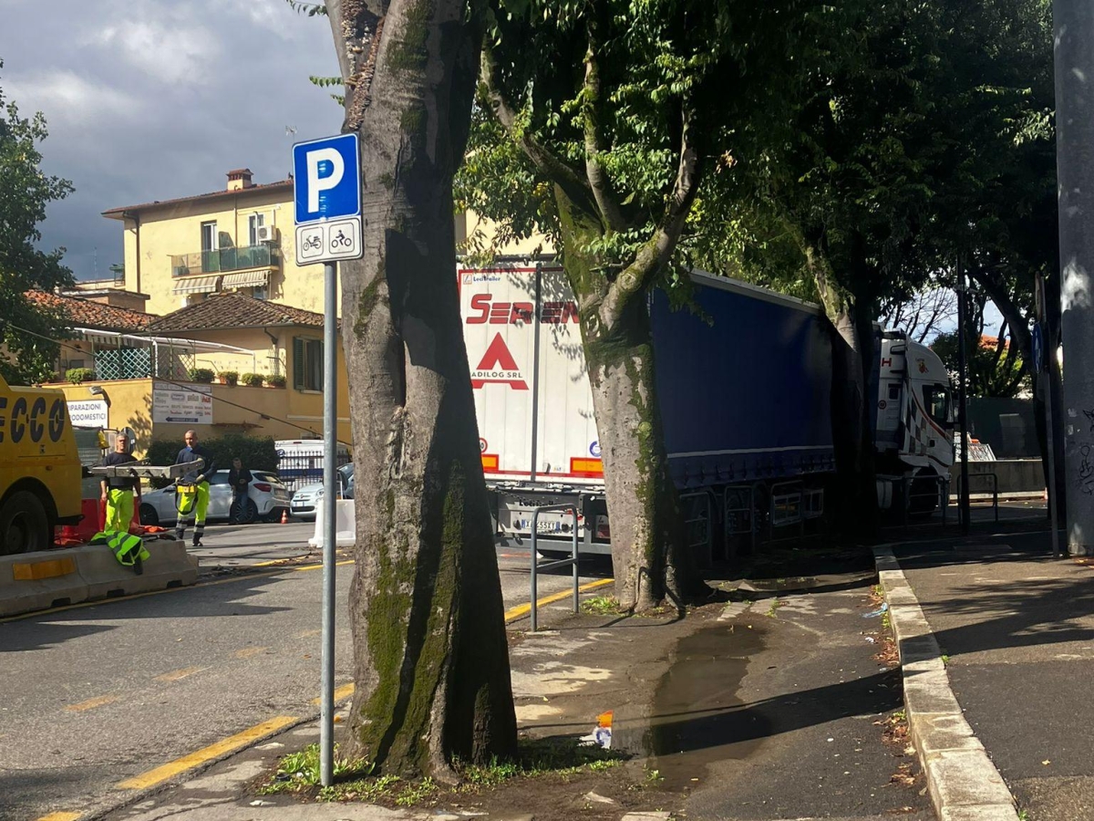 Firenze, tir incastrato tra gli alberi e i cantieri del tram: c'era il limite ai 3 metri
