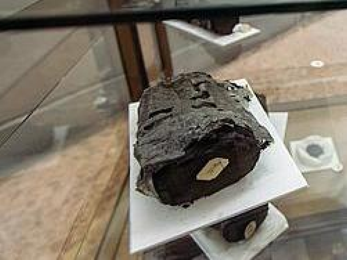 Le 15 domande di Natale: il Questionario dell'Avvento per ragazzi