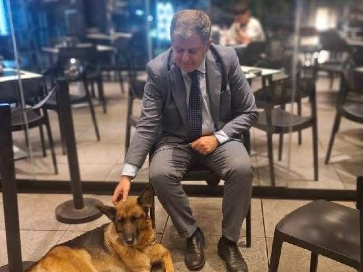 Bella, legata ad una bici elettrica e trascinata sanguinante per 6 chilometri: decine di richieste di adozione per il cane