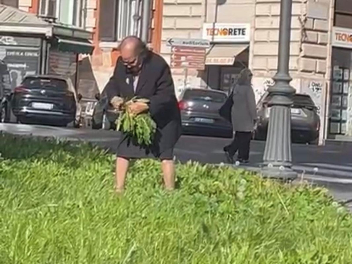 Piazza Verbano, l'aiuola abbandonata diventa un orto. Le reazioni: «Quella signora è un mito! Fa la cicoria nel traffico»