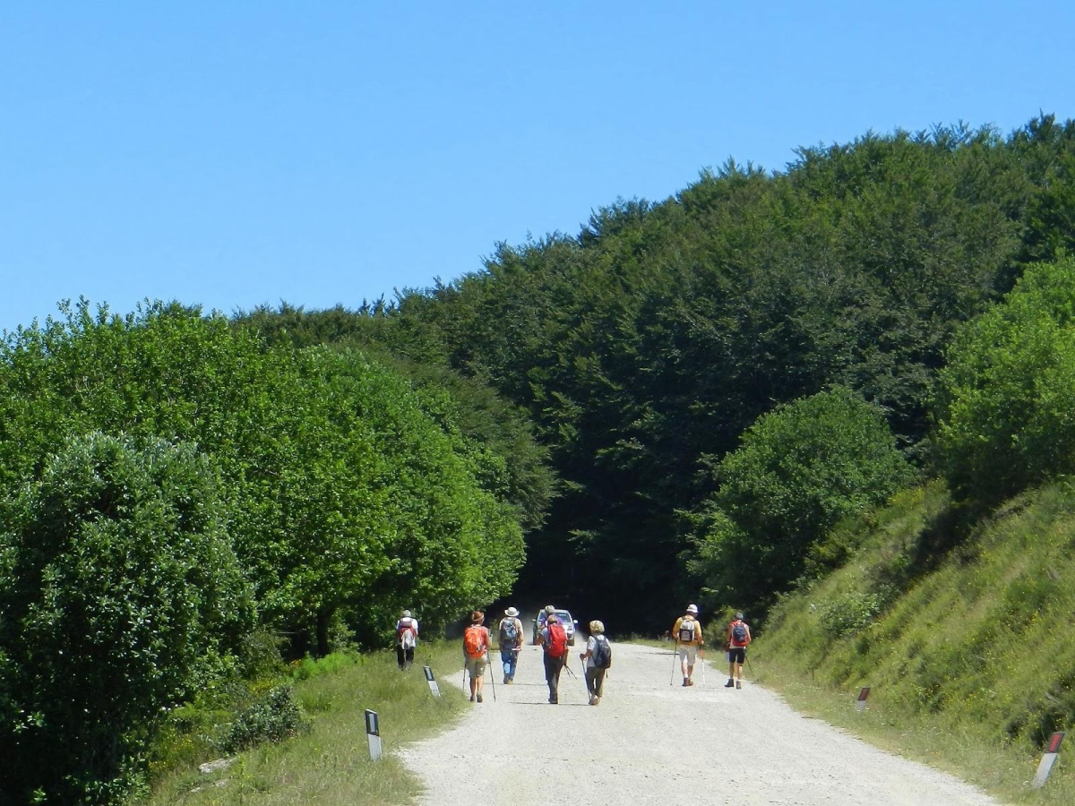 Pratomagno, la battaglia anti asfalto: «Quella strada bianca sulla montagna non si tocca»