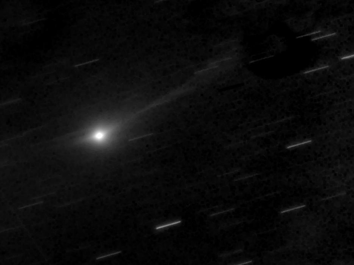 La cometa antica e interstellare passa nei nostri cieli (scambiata per un'astronave)
