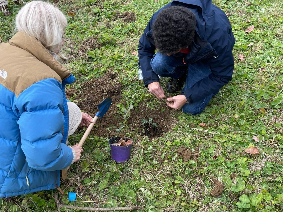 A Bagno a Ripoli il bosco con i dieci «figli» degli alberi monumentali della Toscana