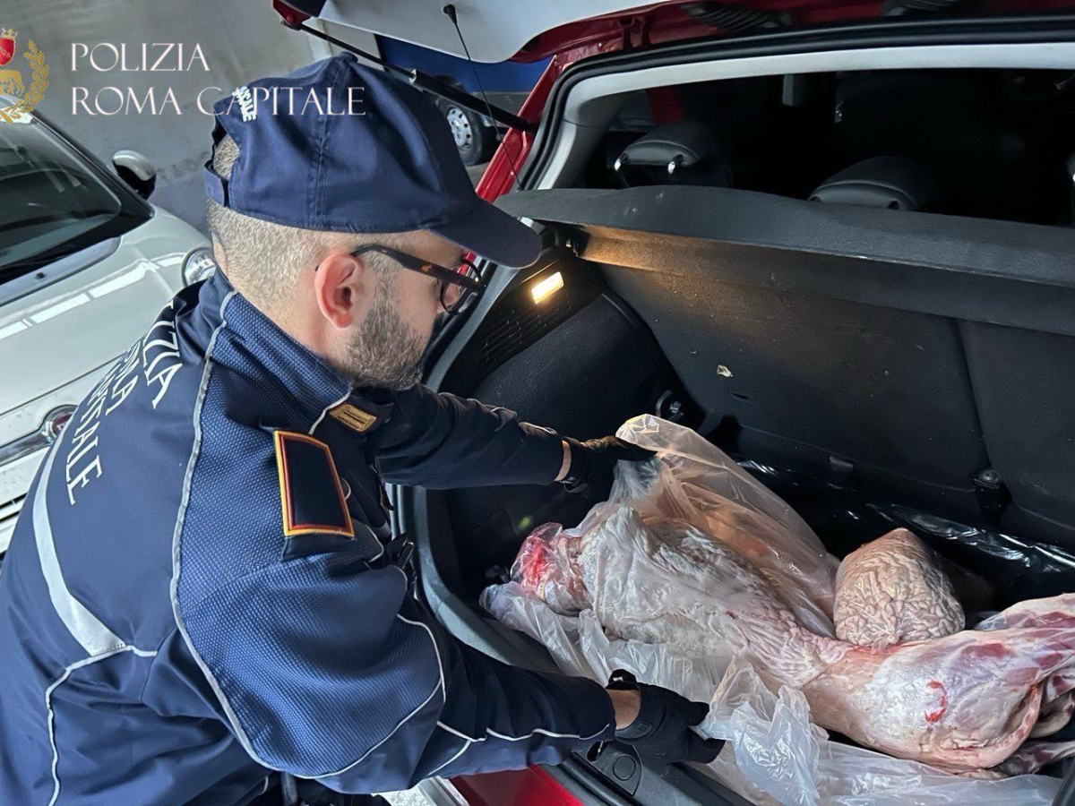 Mercato Esquilino a Roma, mezza tonnellata di carne avariata nascosta nelle auto in garage: pronta per essere venduta sui banchi