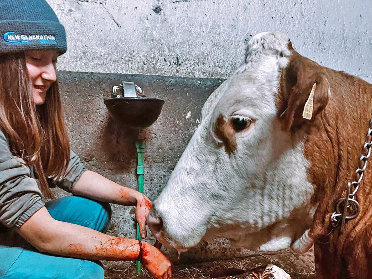 Alicia Necchi, l'allevatrice (per scelta) 19enne: «Le mie capre scampate ai lupi fuggendo a 2.500 metri di quota»