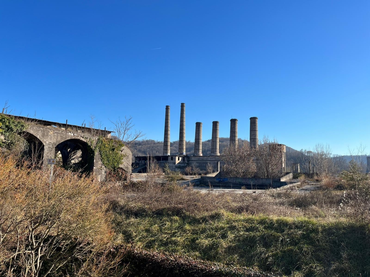 Le 15 domande di Natale: il Questionario dell'Avvento per ragazzi