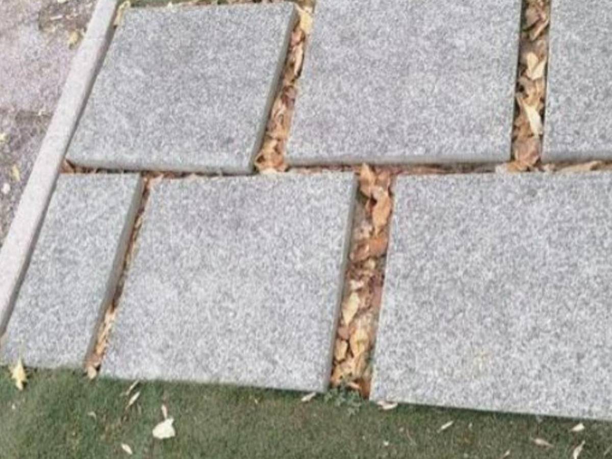 Le 15 domande di Natale: il Questionario dell'Avvento per ragazzi