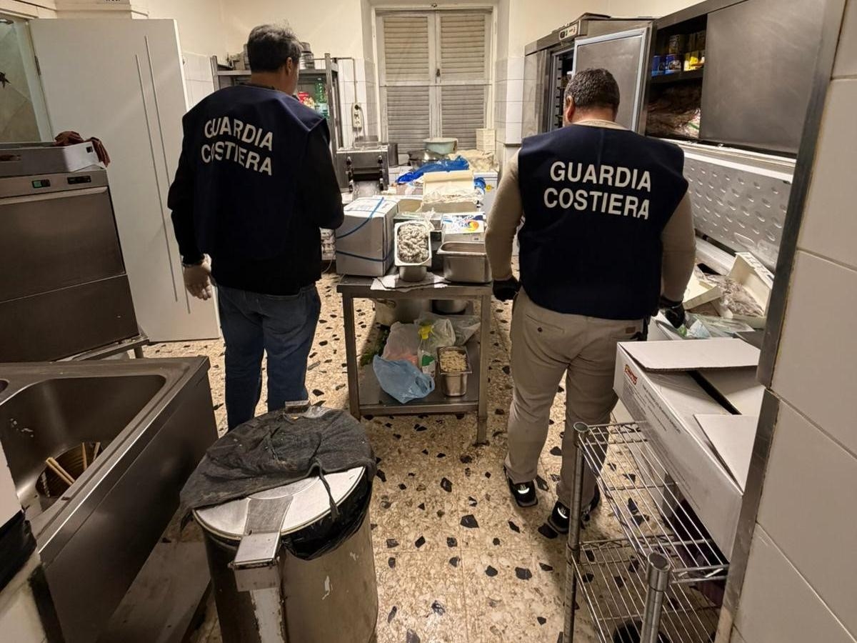 Roma, il maxi blitz per le feste della Guardia costiera: sequestrate oltre 3,6 tonnellate di pesce fuorilegge