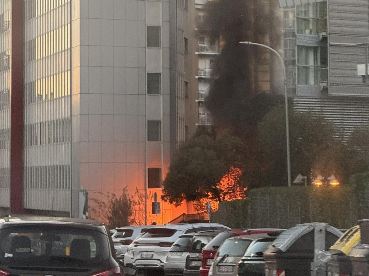 Incendio a Roma Tre, fiamme nei pressi della facoltà di Scienze Politiche: colonna di fumo su tutta la zona