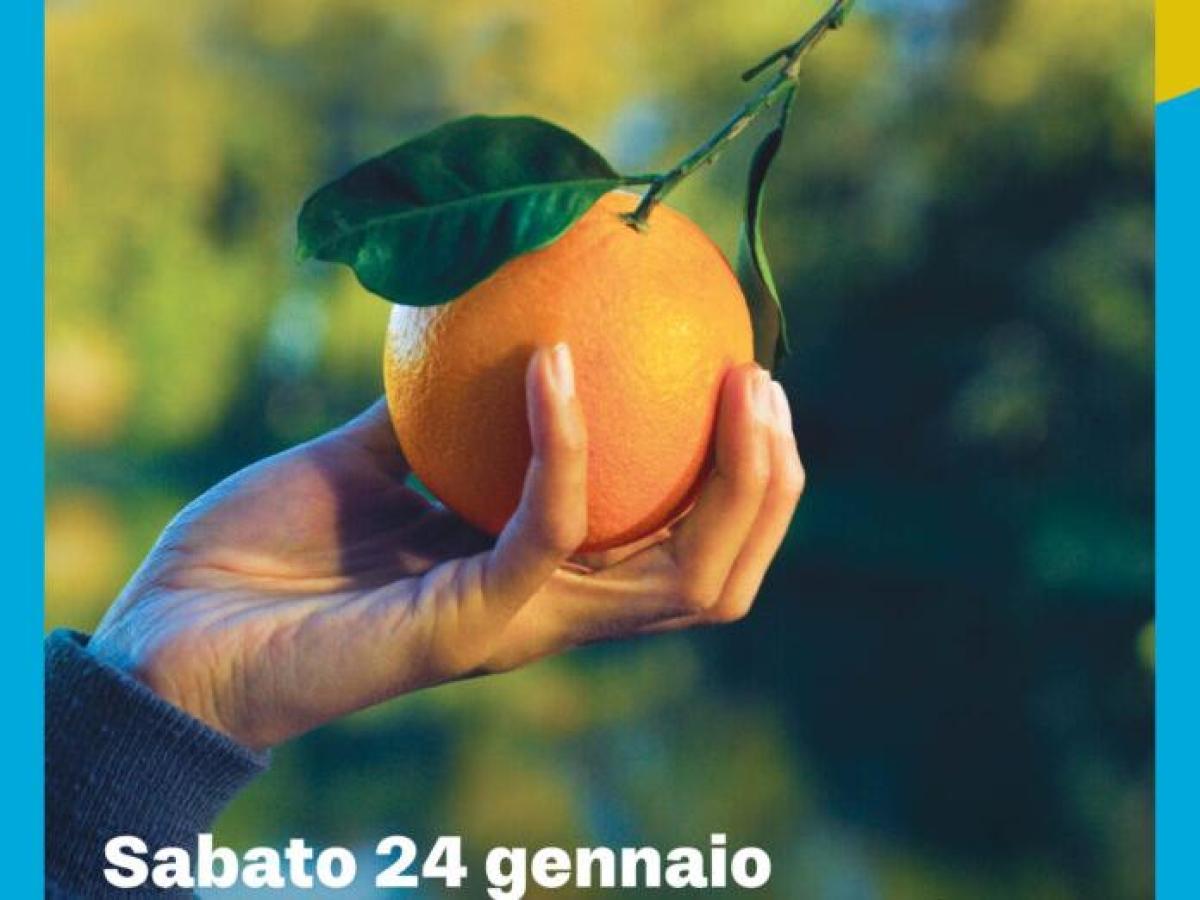 Airc, sabato in 32 piazze in Campania tornano le arance della salute