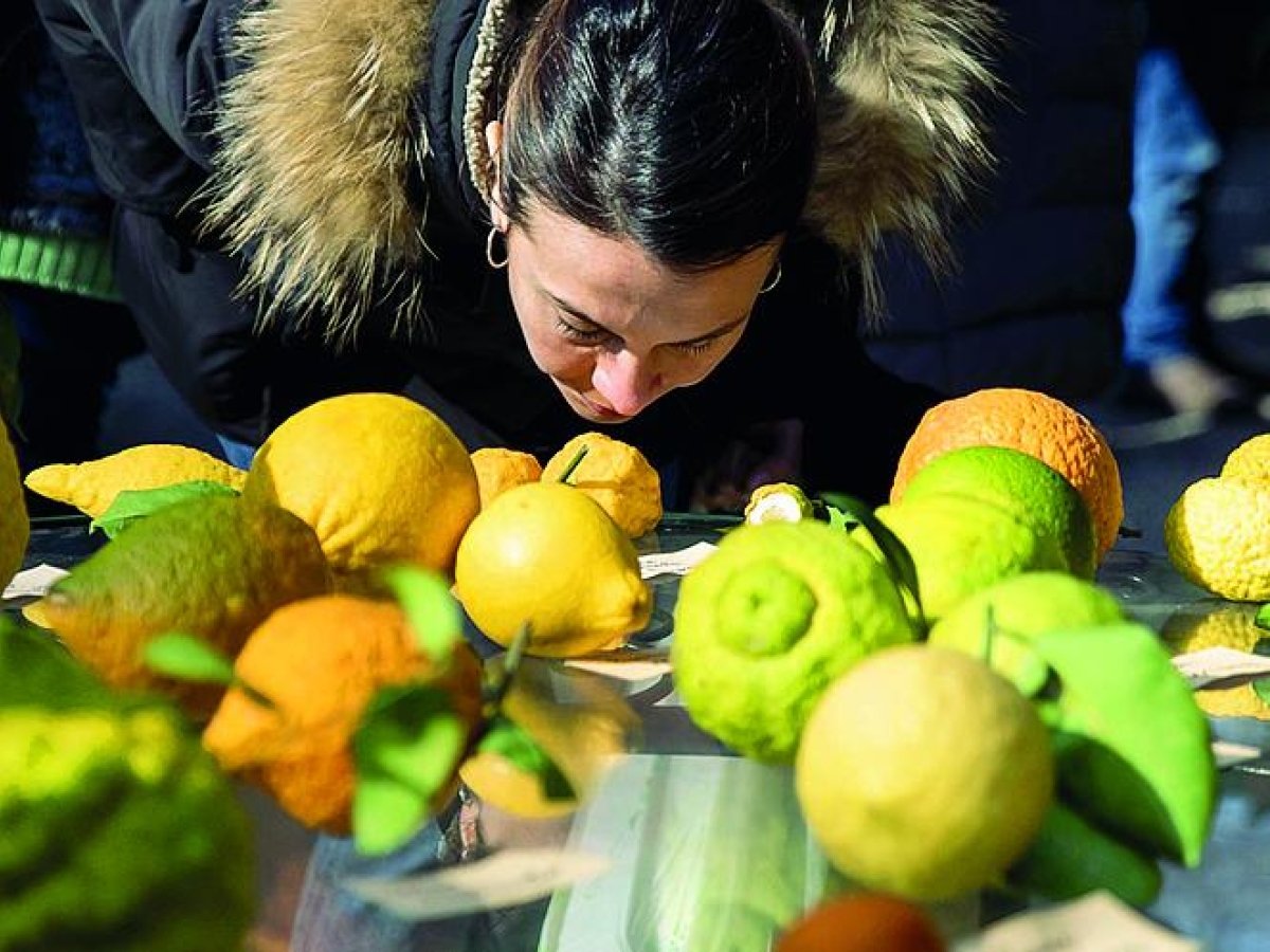 Le 15 domande di Natale: il Questionario dell'Avvento per ragazzi