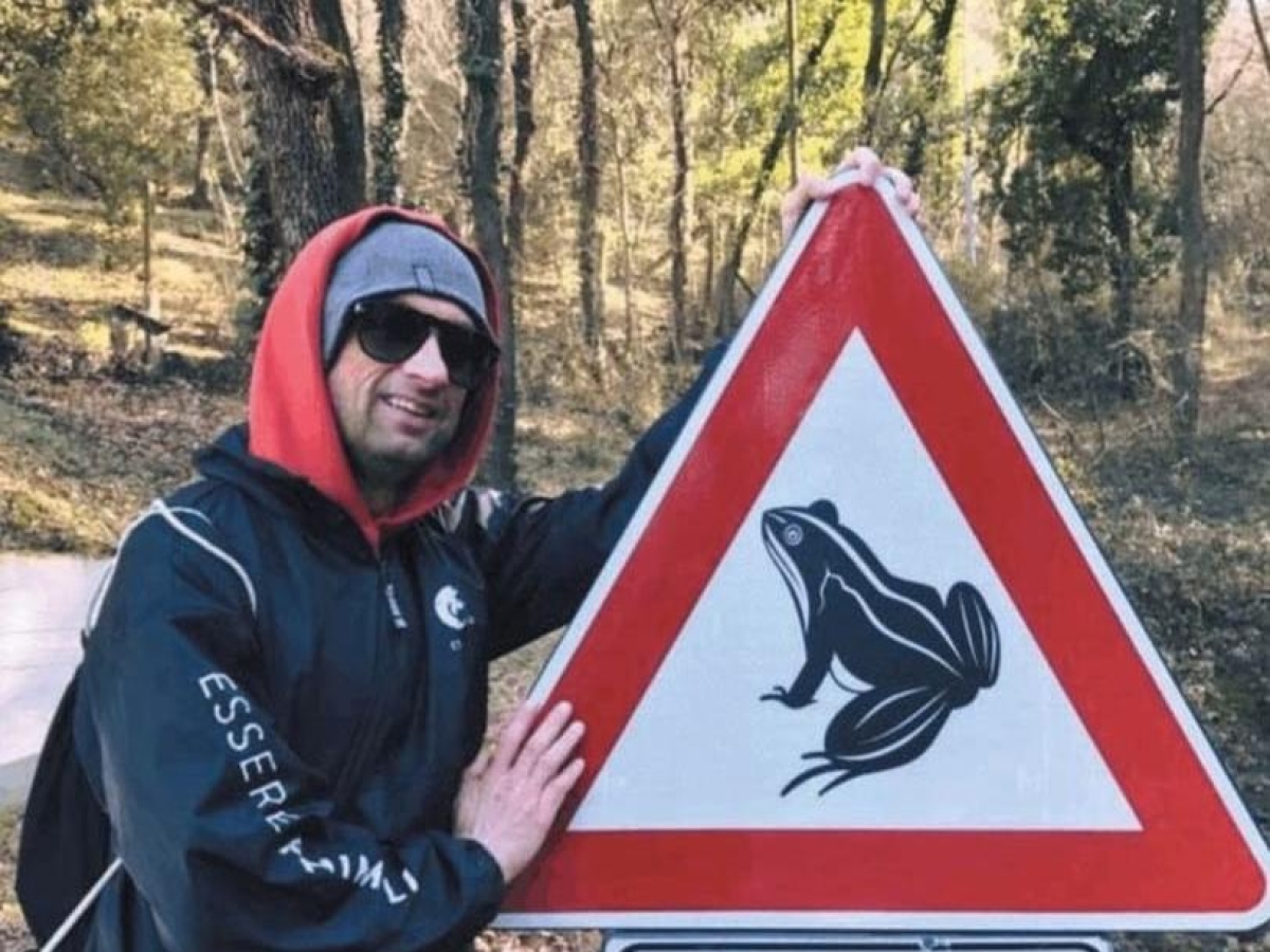 Arezzo, i volontari che salvano i rospi in amore (di notte e in mezzo alle auto)