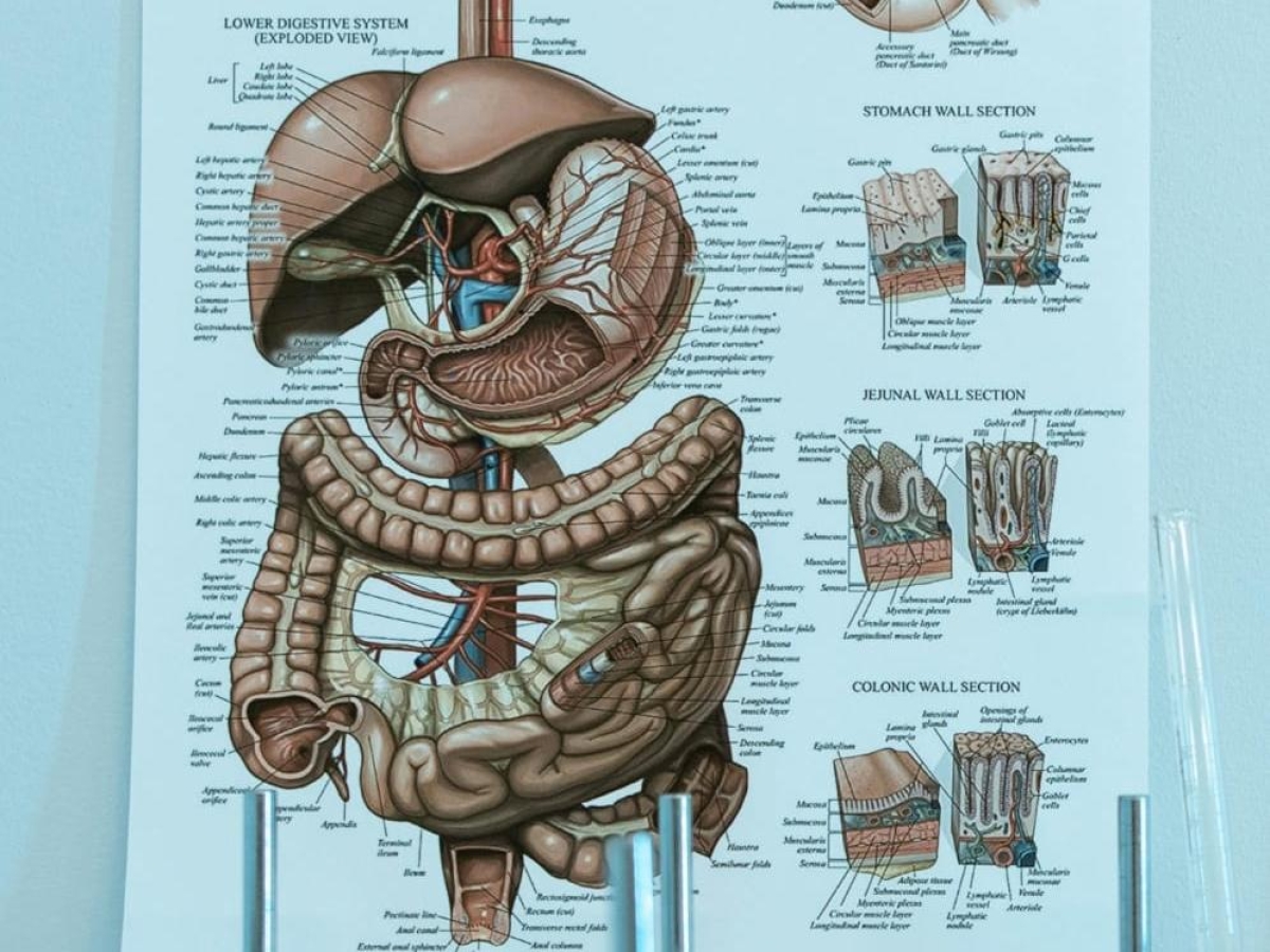Epatite C, gli esperti: «In Campania pochi fanno il test per individuare l'infezione asintomatica»